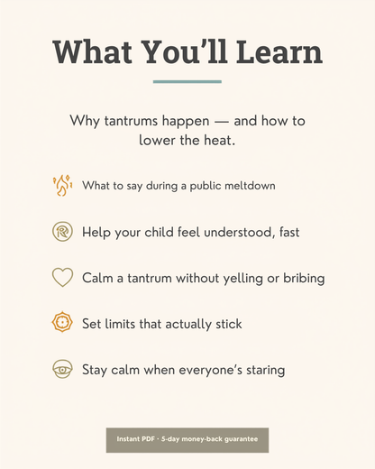 What you'll learn from Beyond the Meltdown