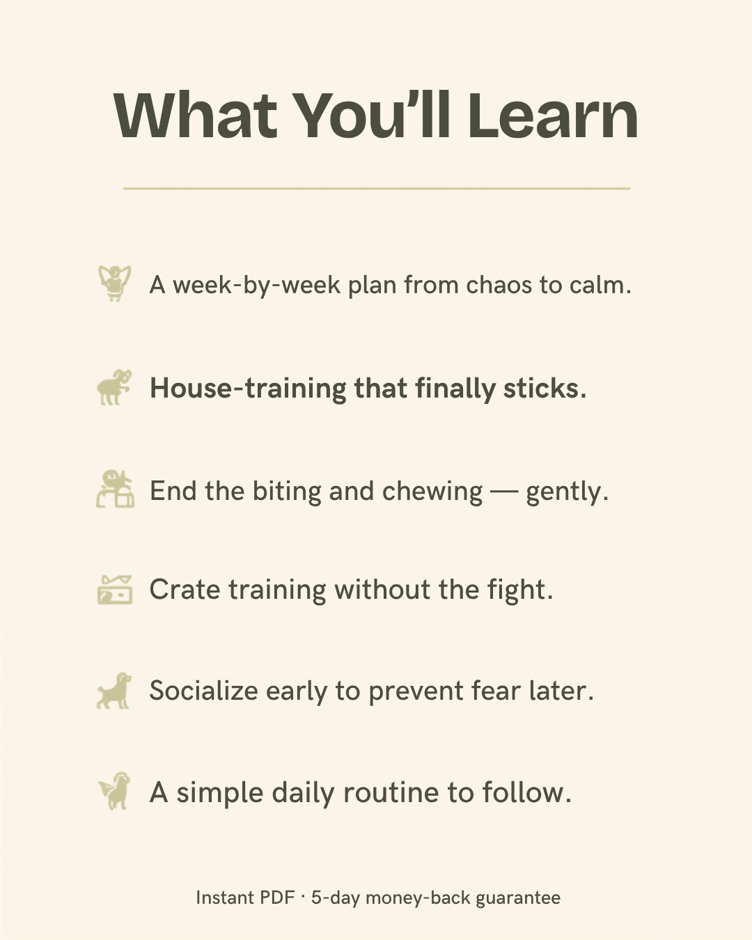 What you'll learn from The New Puppy Playbook