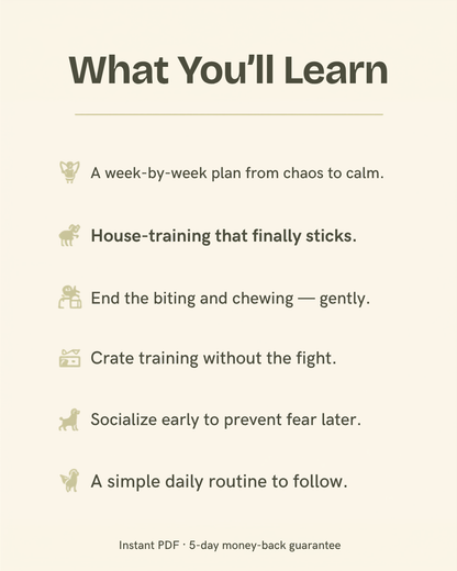 What you'll learn from The New Puppy Playbook