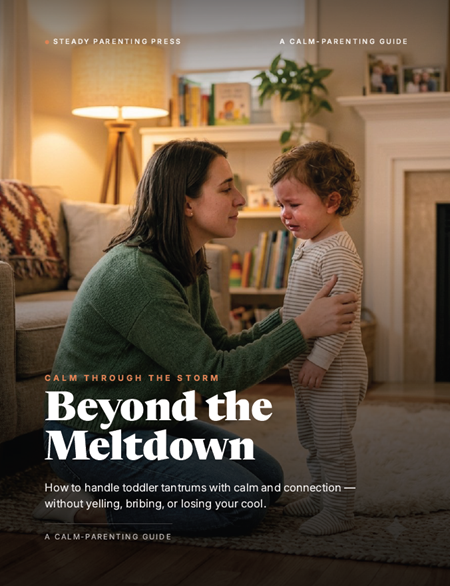 Beyond the Meltdown